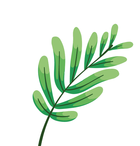 Leaf illustration